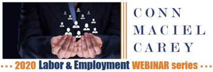 2020 Employment Webinar Series Banner Standalone